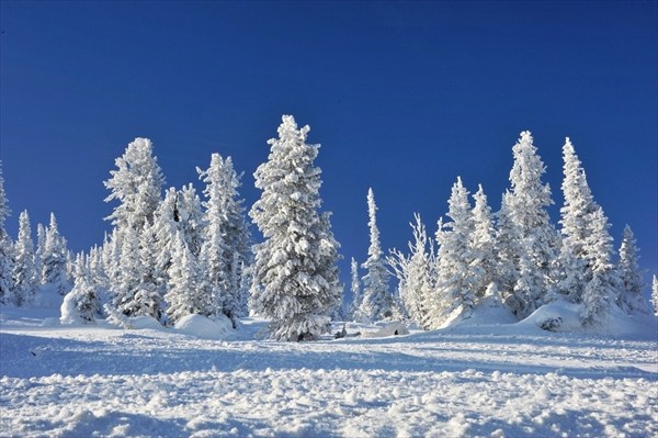 Ергаки 20.01.2011 (130)